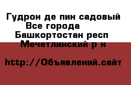 Гудрон де пин садовый - Все города  »    . Башкортостан респ.,Мечетлинский р-н